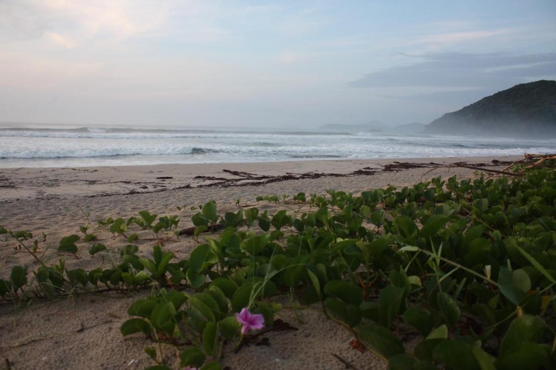 Maloquinha Itamambuca. A Mais Charmosa De Ubatuba. Экстерьер фото